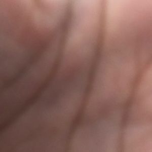 Meet your Posher, Zoila